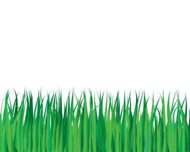 Grass background clipart