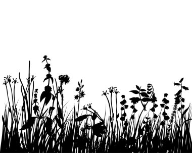 Grass meadow clipart