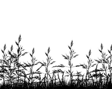 Grass meadow clipart