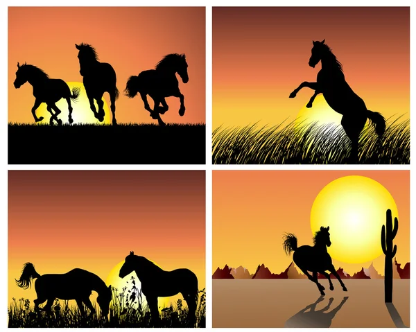 Koně na slunce pozadí — Stockový vektor