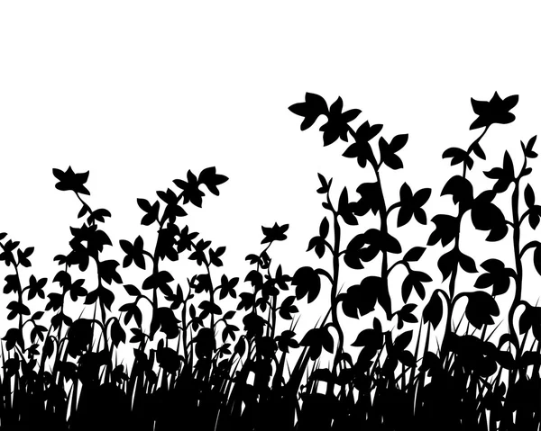 Çiçek silhouettes — Stok Vektör