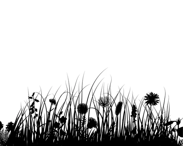 Vektorgras und Blumen — Stockvektor