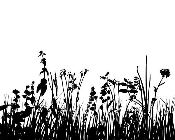 Vektor gräs och blommor — Stock vektor