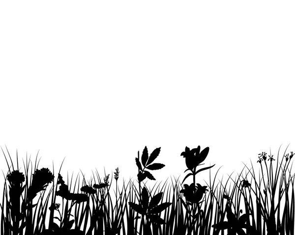 Herbe vectorielle et fleurs — Image vectorielle