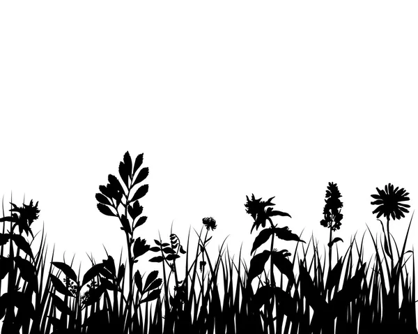 Vektor gräs och blommor — Stock vektor