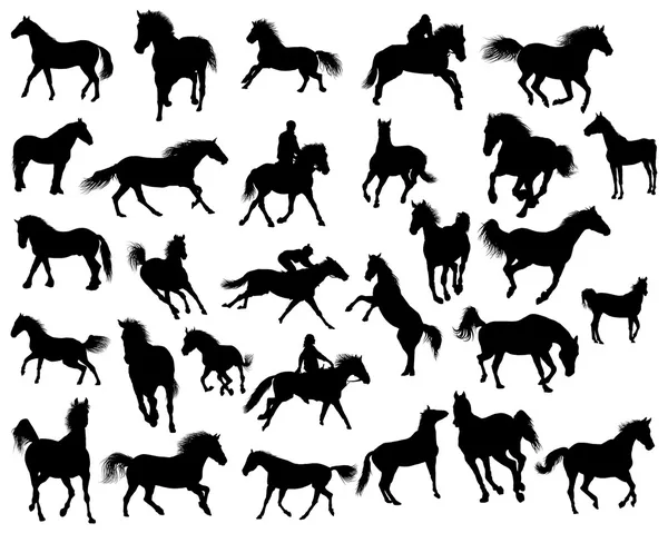 Sylwetki koni — Wektor stockowy