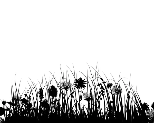 Vektorové tráva a květiny — Stockový vektor