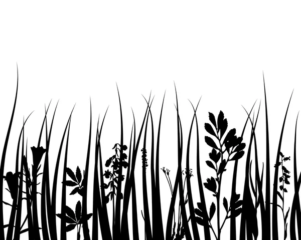 Vector grass and flowers — Stock Vector