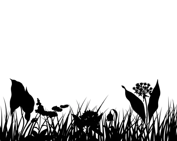 Herbe vectorielle et fleurs — Image vectorielle