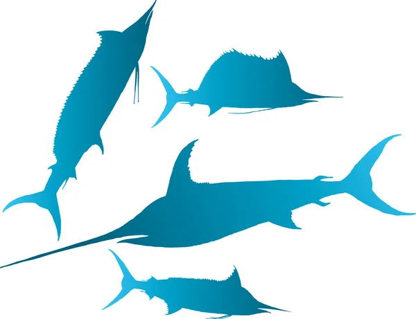 Marlin, vector pez vela — Archivo Imágenes Vectoriales