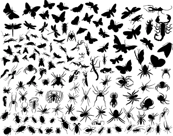 Insectes vecteurs — Image vectorielle