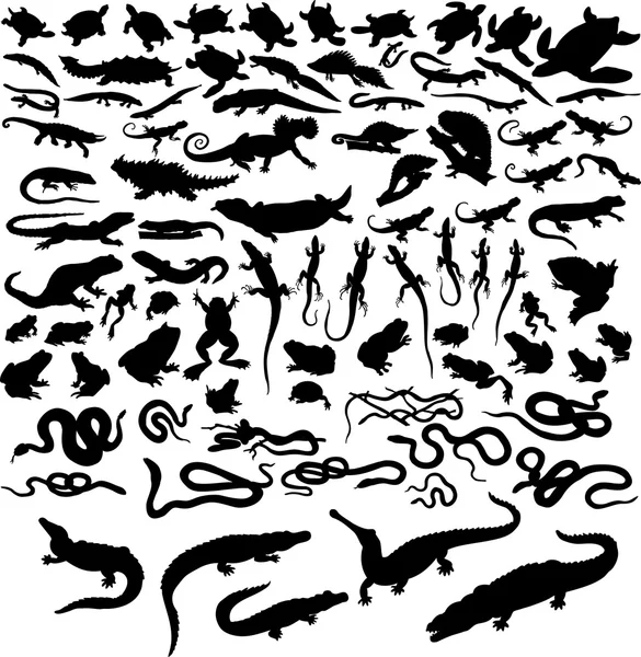 Reptiles — Image vectorielle