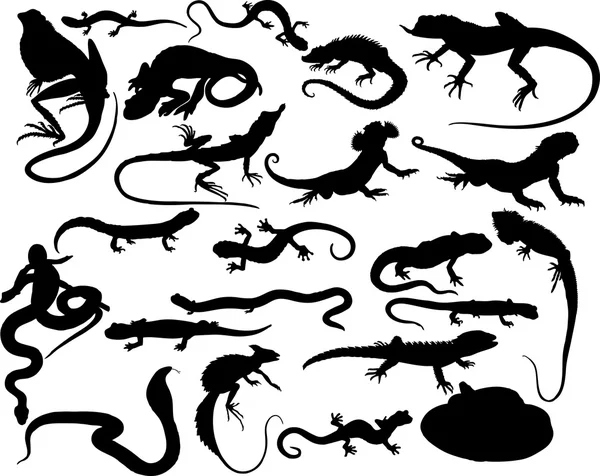 Reptiles vectores — Archivo Imágenes Vectoriales