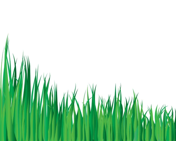 Fond d'herbe — Image vectorielle