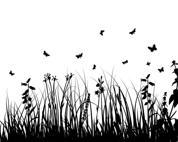 Herbe prairie — Image vectorielle