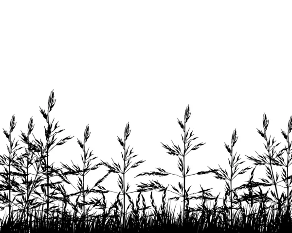 Gras weide — Stockvector