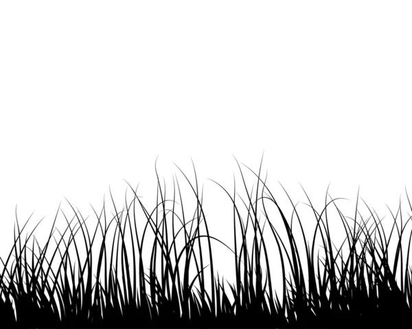 Gräs äng — Stock vektor