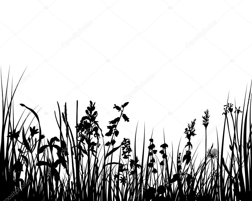 Grass meadow