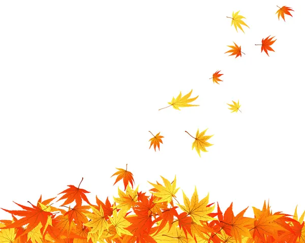Foglie d'autunno — Vettoriale Stock