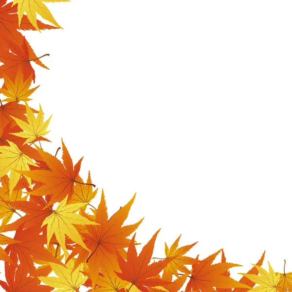 Hojas de otoño — Vector de stock