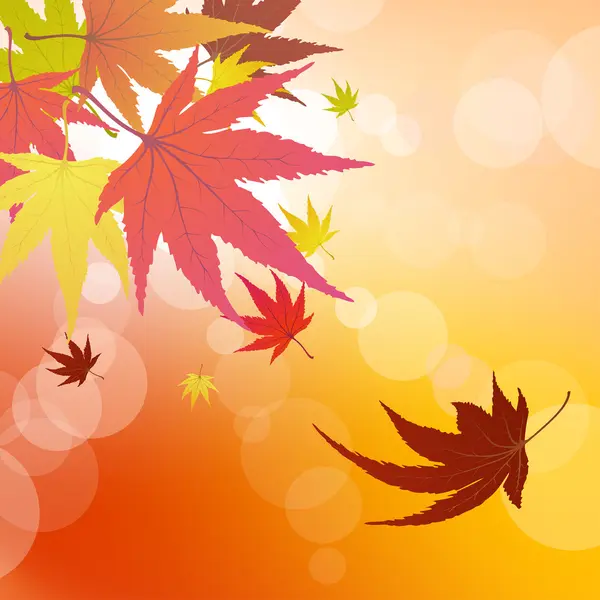 Осенние листья — стоковый вектор