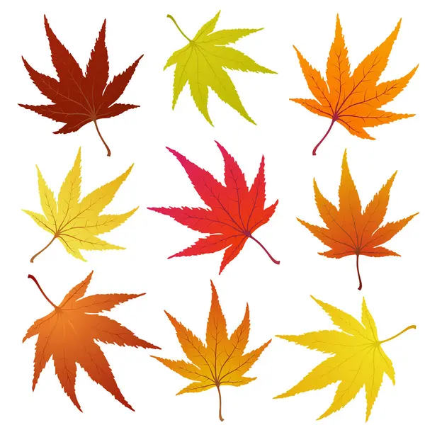 Folhas de Outono — Vetor de Stock