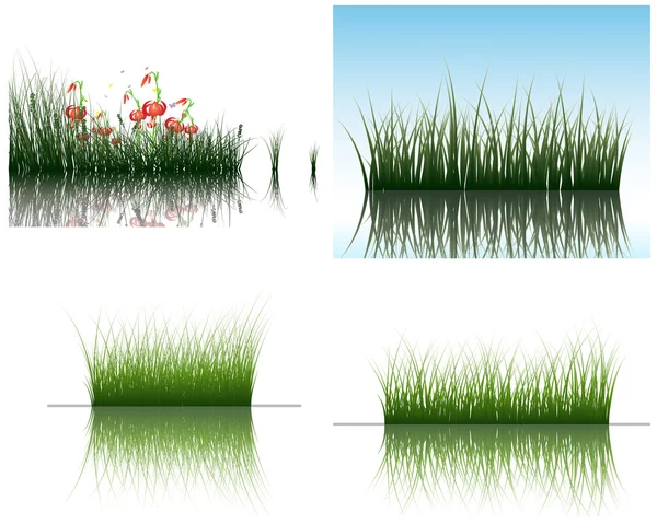 Gras auf dem Wasser — Stockvektor