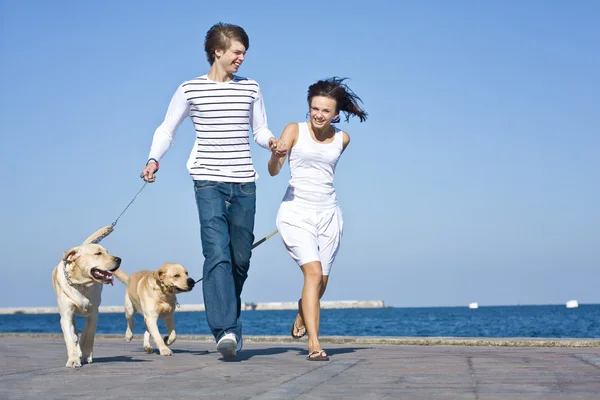 Ungt par som løper med hunder – stockfoto