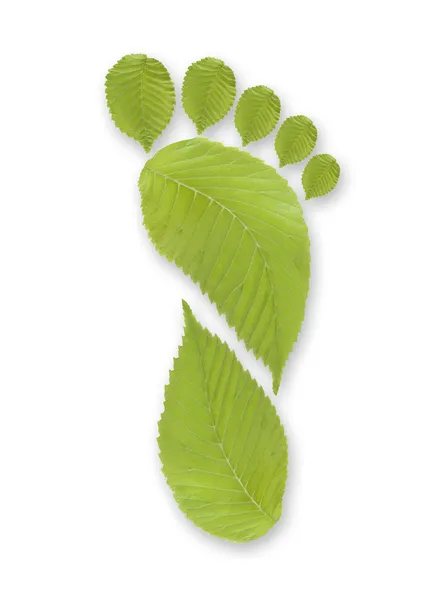 Yeşil ayak izi — Stok fotoğraf