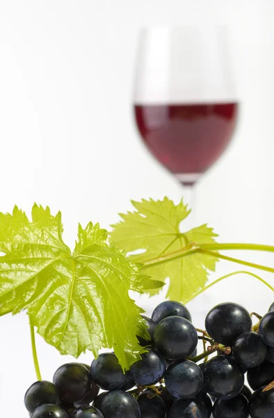 Rode wijn en druiven — Stockfoto
