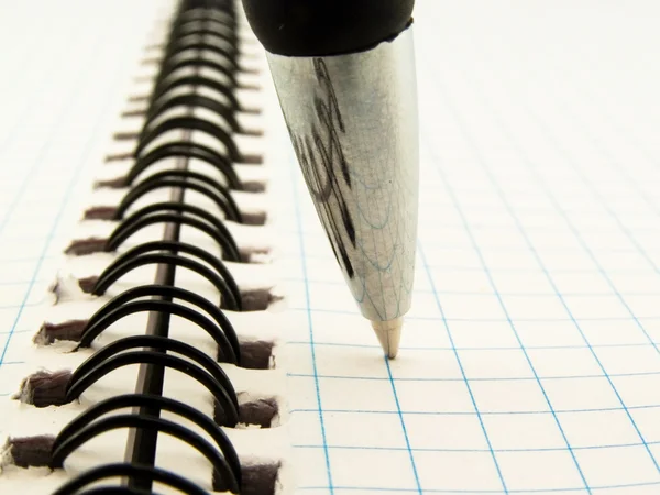 Tükenmez kalemle dizüstü — Stok fotoğraf