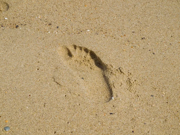 Spår på sand — Stockfoto