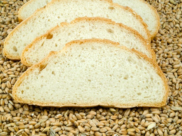 Ekmek kabukları tahıl üzerinde — Stok fotoğraf
