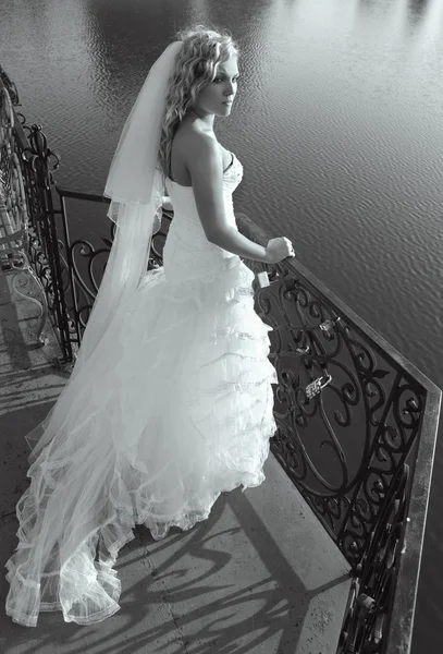 Beautiful bride on bridge — Stock Photo, Image