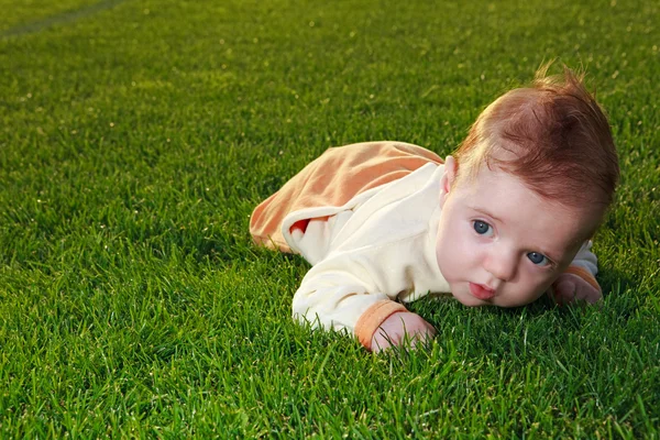 Baby, fűben — Stock Fotó