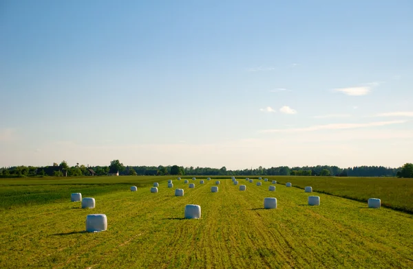 stock image Hay bales