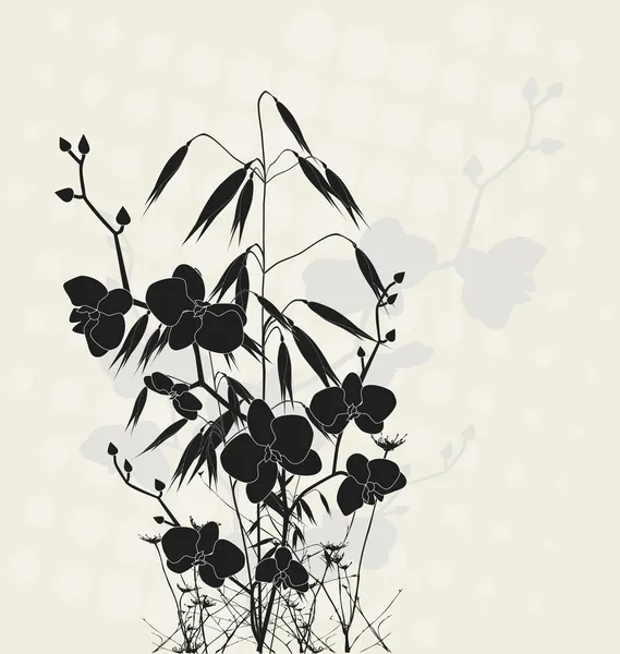 オートムギと蘭の花のデザイン — ストックベクタ