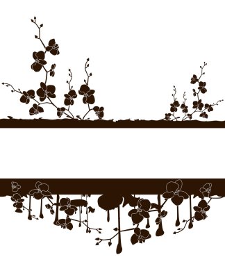 Frame with orchids clipart