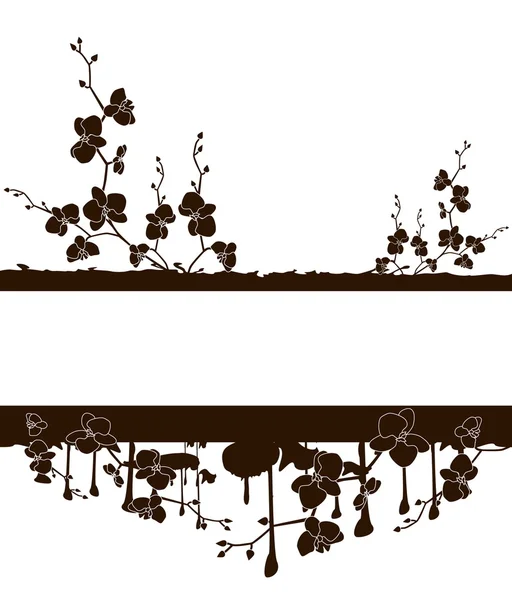 Cadre avec orchidées — Image vectorielle