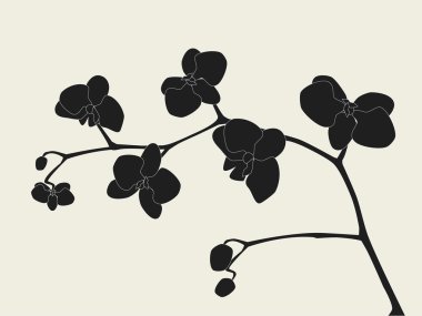 Orchid branch silhouette clipart