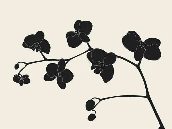 Silhouette de branche d'orchidée — Image vectorielle