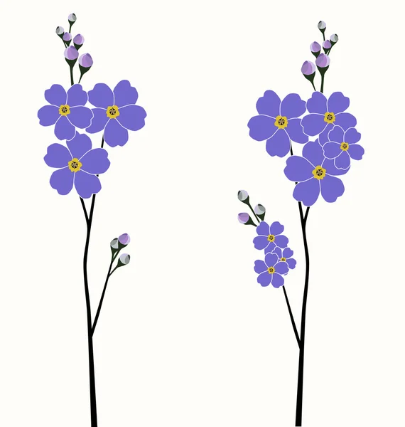 Ilustración de las hermosas flores que no me olvidan — Vector de stock
