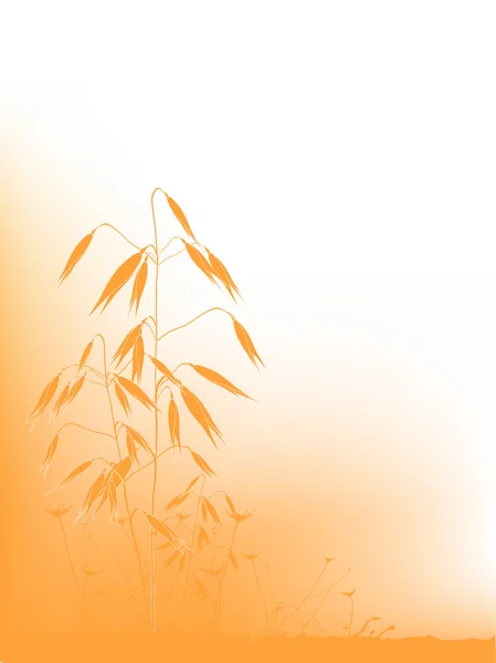 Fond d'automne avec avoine — Image vectorielle
