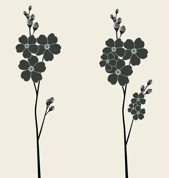 Illustration av den vackra förgätmigej blommor — Stock vektor