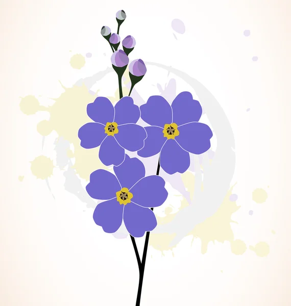 Ilustracja kwiat piękny Niezapominajka — Wektor stockowy