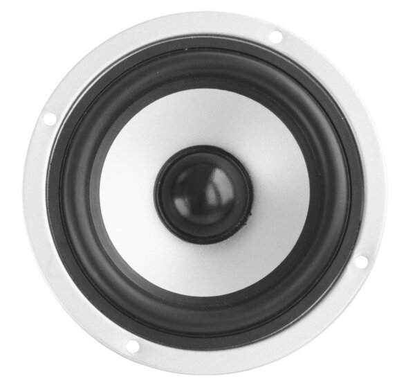 Gray dynamic loudspeaker/the musical acoustic equipment