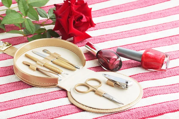 Tools for the manicure — Stock Photo, Image