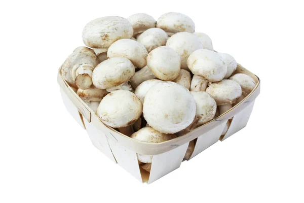 stock image Mushrooms in the box