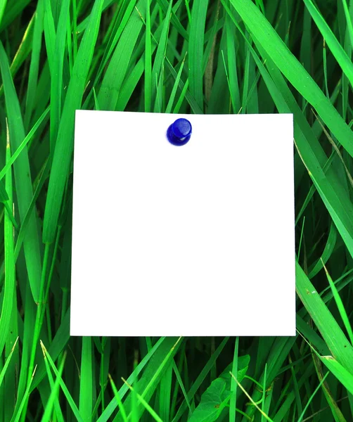 Papír připojené k zelené trávy — Stock fotografie