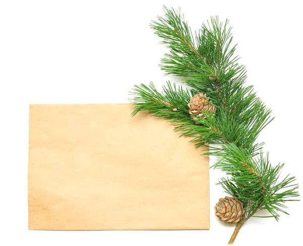 Hnědé obálky na dopisy s větví borovice — Stock fotografie